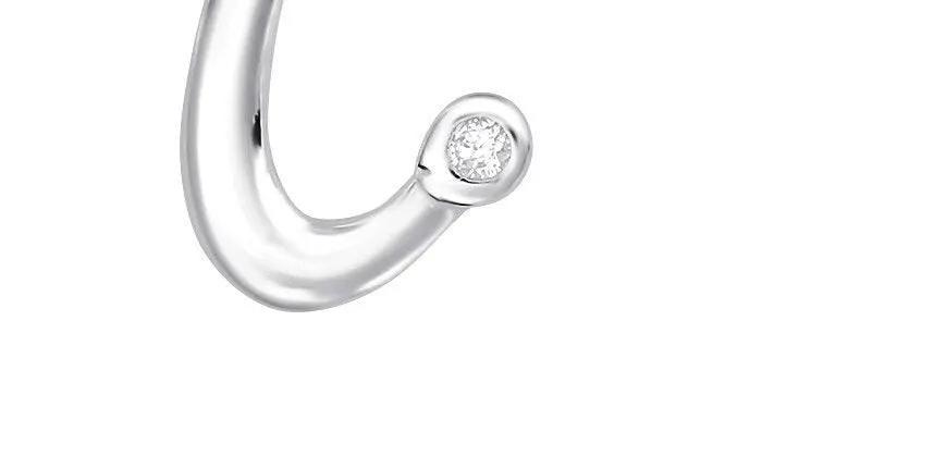 Capital "C" - 925 Sterling Silver Jewelled Necklace For Women's Best Friend Anniversary Gift by Clarissas Boutique London