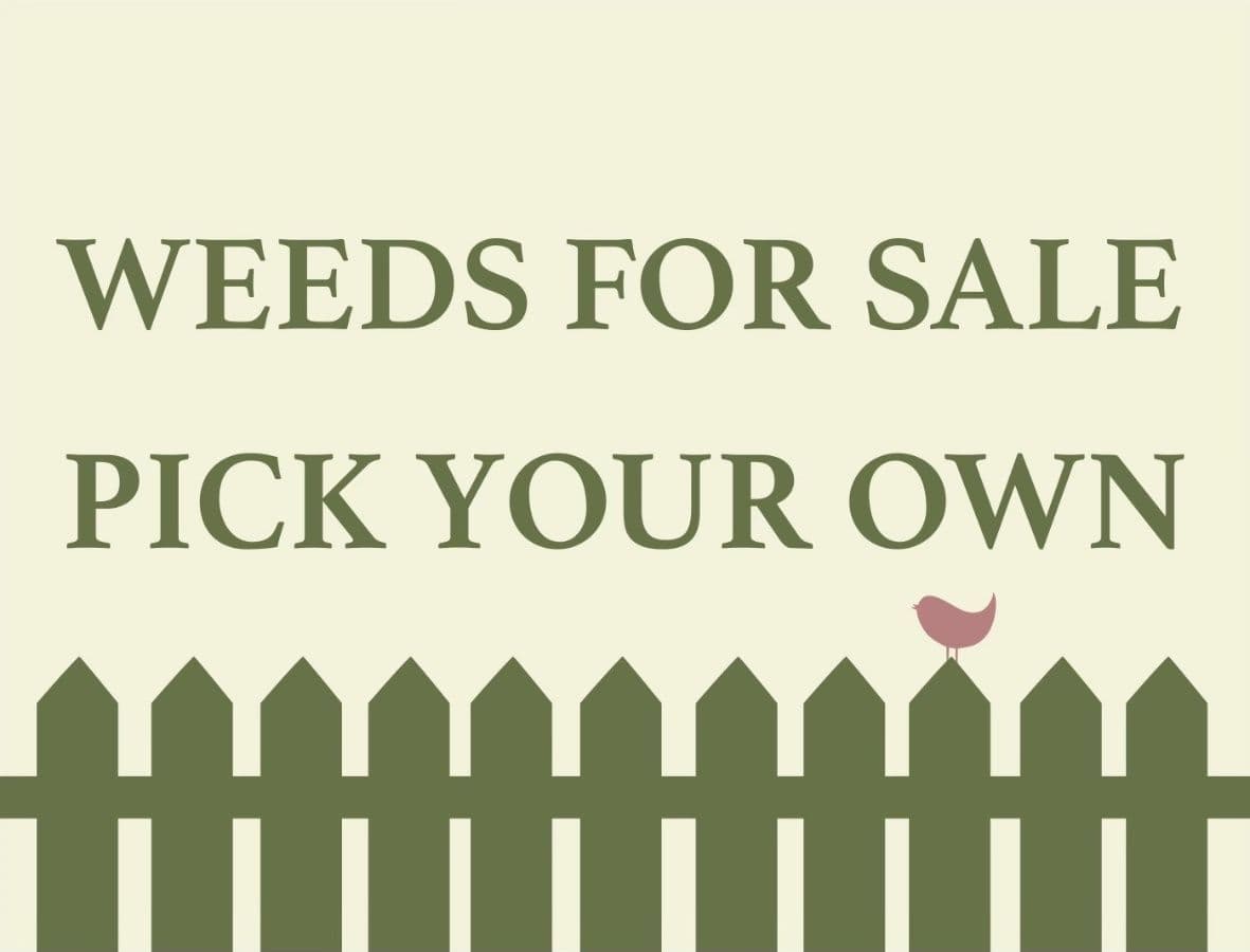 Weeds For Sale Pick Your Own Sign - 20 CM by Clarissas Boutique