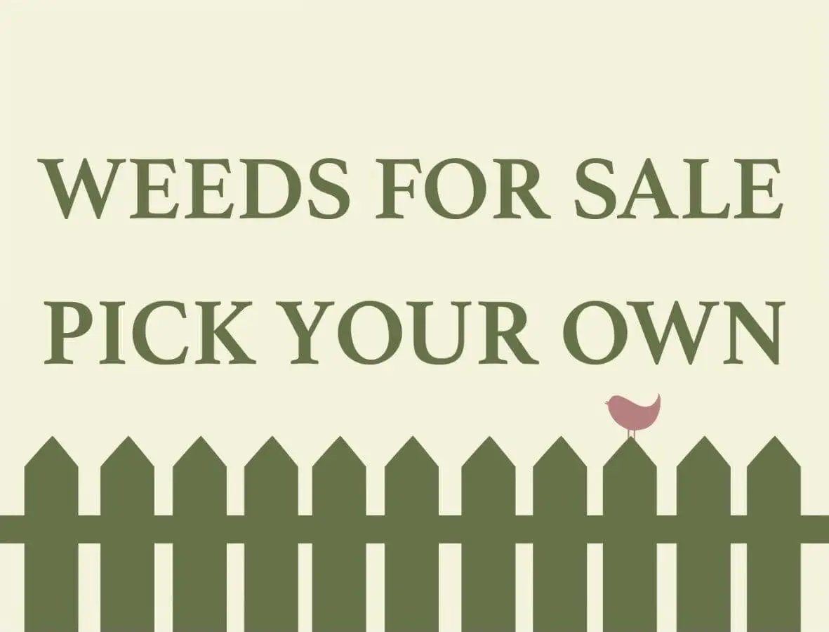 Weeds For Sale Pick Your Own Sign - 20 CM by Clarissas Boutique